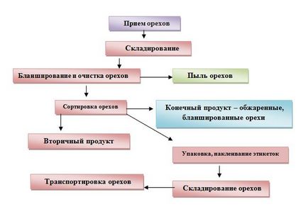 Інтенсифікація процесів обробки горіхів (фундук) в поле ик променів