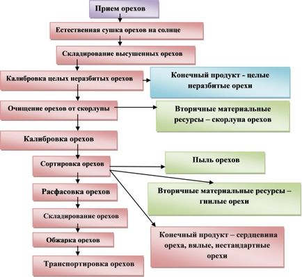 Інтенсифікація процесів обробки горіхів (фундук) в поле ик променів