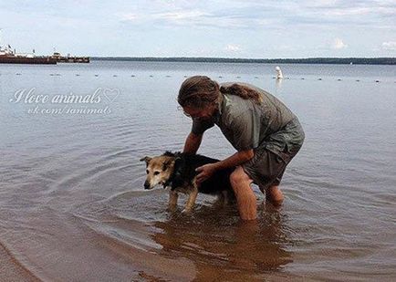 Історія пса Шепа і його господаря Джона, life on photo