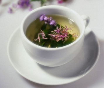 Ivan tea tulajdonságai és ellenjavallatok