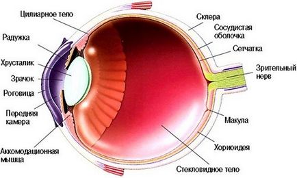 Schimbarea culorii irisului