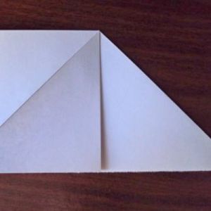 Cum să faci un papagal - cum să faci un papagal de hârtie