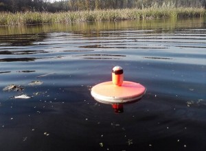 Як ловити зубасту хижачку в водоймах з плином і без