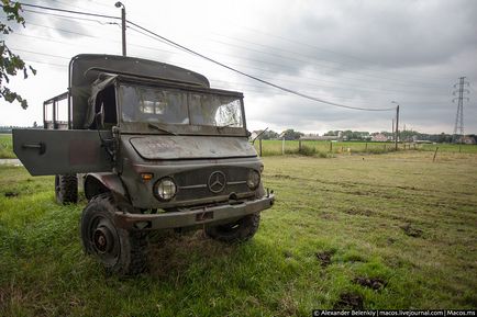 Як називається старий кінь