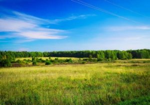 Як отримати кредит під заставу земельної ділянки або оформити іпотеку на покупку земельної ділянки