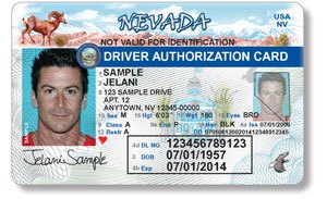 Cum să obțineți un permis de conducere fără un număr de securitate socială