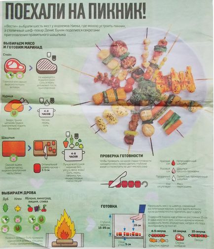 Cum să gătești un kebab shish pe sfaturi de grătar pentru un picnic!