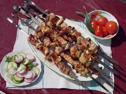Cum să gătești un kebab shish pe sfaturi de grătar pentru un picnic!