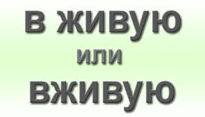 Як правильно написати наживо або в живу