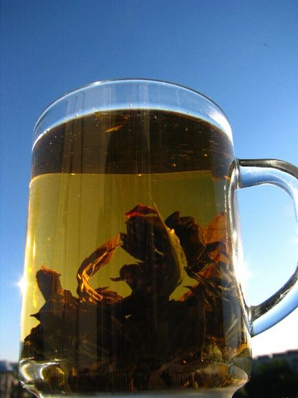 Hogyan készüljünk fűzfa tea, túlélő magát