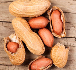 Як росте арахіс як вирощувати арахіс на городі в теплиці в середній смузі фото - eтепліца