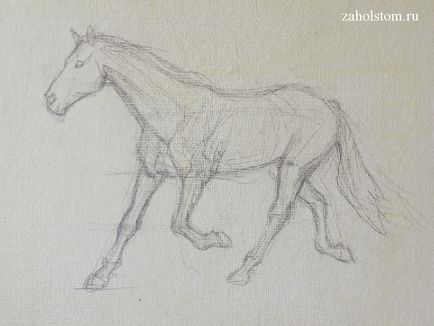 Як малювати кінь породистий скакун