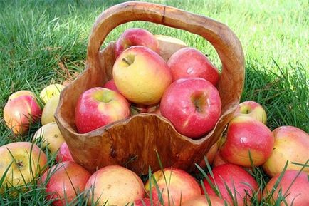 Cum să păstrați merele pentru iarnă cum să depozitați, să uscați și să reciclați merele
