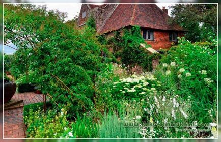 Cum de a crea o grădină de flori într-un stil natural cu propriile tale mâini (fotografie), cu mâinile tale - cum să te faci