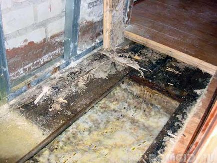 Hogyan védi a padlót a családi ház ellen rothadás (gomba), hatékony módszerek elleni rothadó emeleten