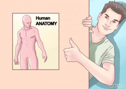 Cum să predați anatomia