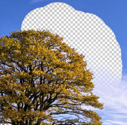 Cum să eliminați un fundal în instrumentul Photoshop pentru ștergerea fundalului