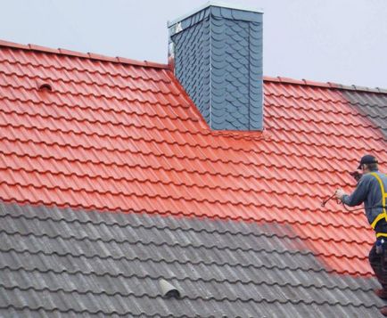 Cum sa alegi o vopsea pentru acoperișul casei - tipuri pentru acoperișuri diferite (foto, video)