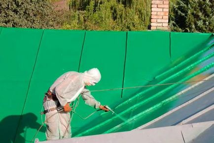Яку вибрати фарбу для даху будинку - види для різних дахів (фото, відео)