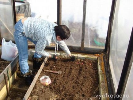 Cum de a accelera încălzirea solului în seră în primăvară, fără costuri suplimentare