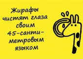 Калійні добрива це якісь назви і їх застосування для винограду і томатовкалійние добрива