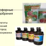 Калійні добрива це якісь назви і їх застосування для винограду і томатовкалійние добрива