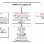 Калійні добрива це якісь назви і їх застосування для винограду і томатовкалійние добрива