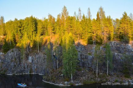 Karelia în jurul lacului Ladoga, furnici în pantaloni