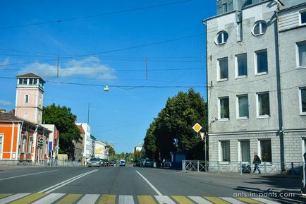 Karelia în jurul lacului Ladoga, furnici în pantaloni