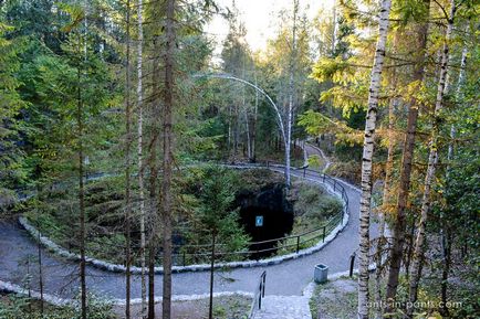 Karélia körül Ladoga-tó, a hangyák nadrág