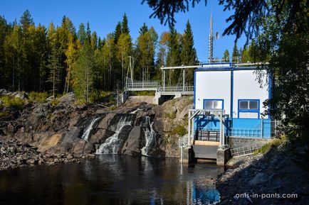 Karelia în jurul lacului Ladoga, furnici în pantaloni