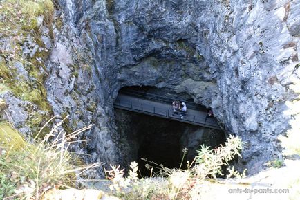 Karelia în jurul lacului Ladoga, furnici în pantaloni