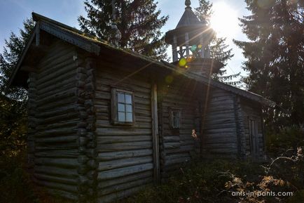 Karelia în jurul lacului Ladoga, furnici în pantaloni
