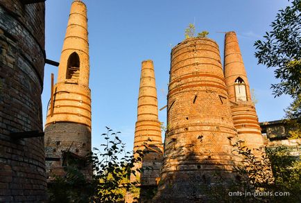 Karelia în jurul lacului Ladoga, furnici în pantaloni