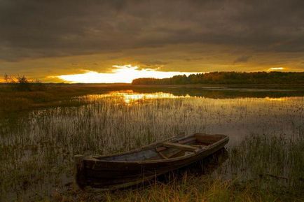 Кенозерский національний парк історія, фото, відгуки