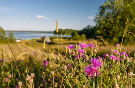 Kenozersky Nemzeti Park, Kargopol