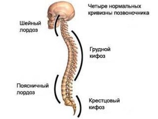 Cifoza tratamentului toracic toracic (ciroză toracică)