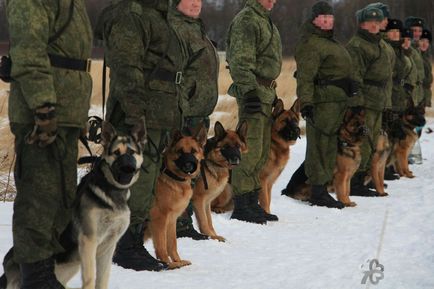 Dog Training Center на училищни хедхънтъри ФСБ