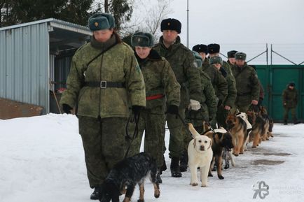 Кінологічний центр фсб школа мисливців за головами