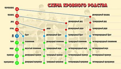 Genunchi (genealogie)