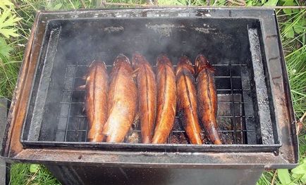 Smokehouse grill és grill saját kezében téglából vagy gázpalack