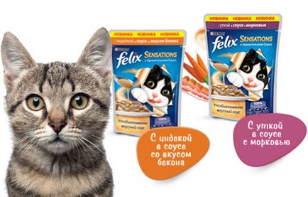 Корм для кішок феликс (felix) огляд, види, склад, відгуки