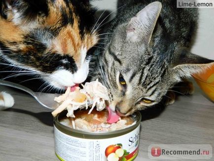 Корм для собак schesir консерви (з курчам і яблуком) - «купую кішкам консерви schesir для