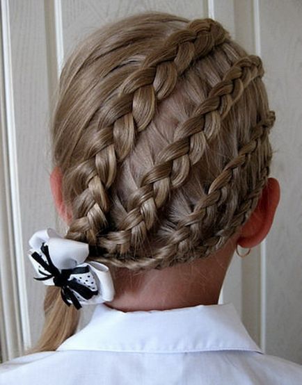 Красиві зачіски для дівчаток в школу види кісок, можливості