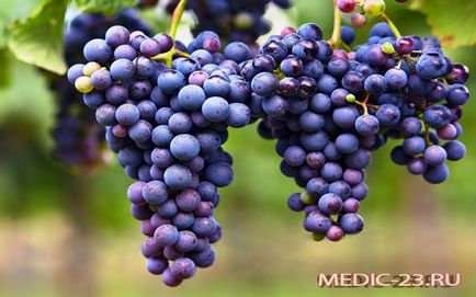 Червоне сухе вино користь і шкода, вплив на організм людини