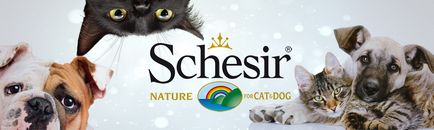 Cumpara chasers feed pentru pisici uscate 🐕 la un preț ieftin schesir cumpara in magazinul online din Moscova