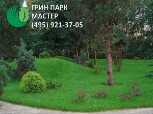 Купити рулонний газон в московській області за низькими цінами, продаж