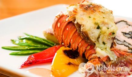 Lobster - compoziție, proprietăți utile, rău, valoare nutrițională, vitamine