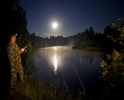 Éjszakai horgászat a fonással