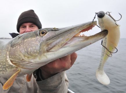 Pescuitul pescăresc în toamnă, tehnica de a prinde pe jigs și roșeață